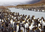 G_Antarctica_Bild_1.jpg